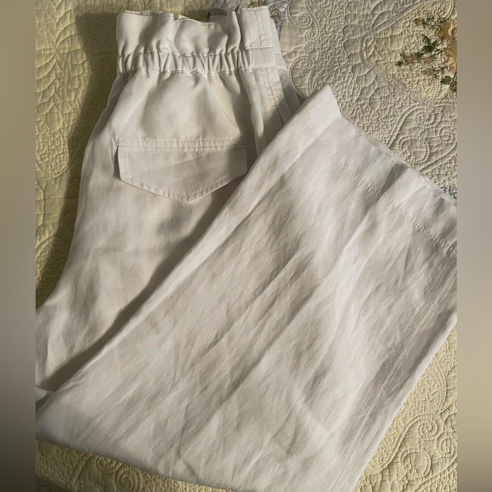 Club Monaco wide leg crops